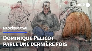 Procès des viols de Mazan Gisèle quotn’était pas une femme soumisequot selon Dominique Pelicot  AFP [upl. by Kienan930]