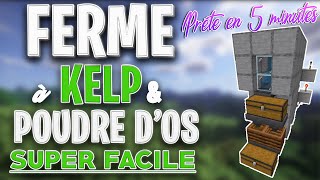 FERME A KELP ET POUDRE DOS AUTO  MINECRAFT BEDROCK 116 MCPEXboxPS4Nintendo SwitchWindows10 [upl. by Dusty]