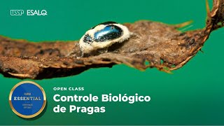 Curso Controle Biológico de Pragas USPEsalq  Aula Inaugural 2022 [upl. by Porush]