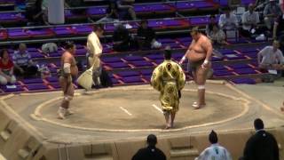 大相撲2016717㊱翔傑shoketsu富栄tomisakaenagoya Bashoday 8 sumo [upl. by Hornstein]