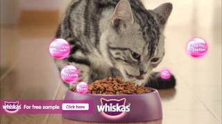 Whiskas Cat Food [upl. by Atirma]