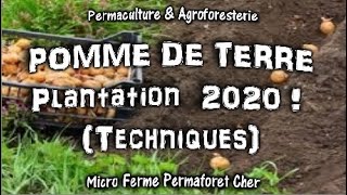 PLANTATION TRADITIONNELLE DE POMMES DE TERRE AU JARDIN POTAGER EN PERMACULTURE PLANTER LES PDT [upl. by Brody818]