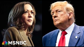 Harris wants to help folks Trump wants to be in office to avoid charges says DNC chair [upl. by Huxley565]