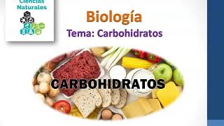 TEMA Carbohidratos  Glucidos [upl. by Lateh632]