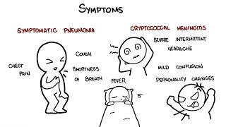 Cryptococcus neoformans infection  symptoms pathophysiology diagnosis treatment [upl. by Letnohc]