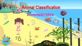 Invertebrate Animals  Educational Video Classification of Invertebrates [upl. by Jallier188]