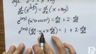 Implicit Differentiation  with e [upl. by Schober]