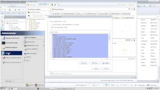 Creating BO Report Using BO Rich Client [upl. by Salocin22]