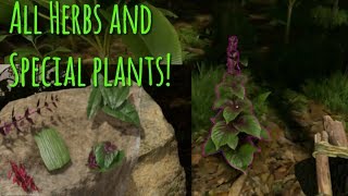 All Herbs amp Special Plants  Their Uses  Green Hell [upl. by Ruthe]