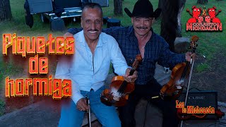 Conjunto Michoacán ft Los de Michoacán  Piquetes de hormiga [upl. by Bakerman54]