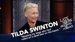 Tilda Swintons Iconic Movie Quotes  Rotten Tomatoes Rewind shorts [upl. by Elbas807]