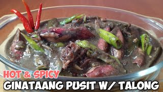 Ginataang Pusit W Talong  quick and easy Recipe ❤️ [upl. by Asiek268]