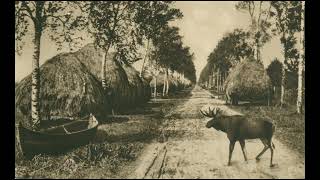 Land der dunklen Wälder  Ostpreußenlied mit originalen Photographien [upl. by Artinad]