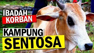 Kemeriahan Ibadah Korban Kampung Sentosa Blok B Seremban N Sembilan [upl. by Leontine]