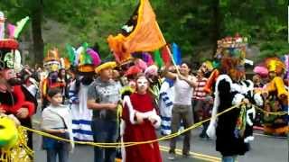 Cinco de Mayo Parade  New York [upl. by Dorrie201]