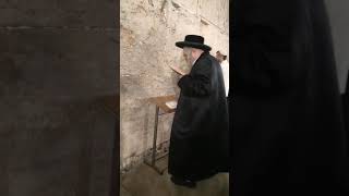 Rachov Rebbe Davening At The Kosel  Tammuz 5784 [upl. by Yajiv]