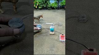 Diy mini tractor project mini motor water pump science project cow water bathed  102 [upl. by Ahsiliw]