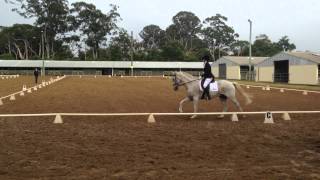 21 Novice Dressage Test [upl. by Auhso]