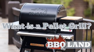 What is a Pellet Grill Traeger Timberline 850 [upl. by Childers]