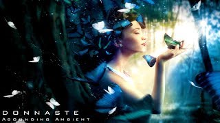 Donnaste  Incredible Ambient Ethereal Instrumental Music to Study Relax or Meditate [upl. by Ode]