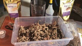 How to make a master springtail or isopod culture for Bioactive BioDude terrariums [upl. by Cecilio]