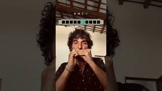 How to play quotThe Riverquot on Diatonic Harmonica Bruce Springsteen [upl. by Allerus676]