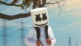 Marshmello  Alone Official Music Video [upl. by Yldarb]