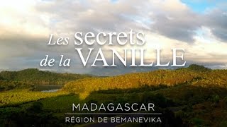 Les secret de la Vanille [upl. by Debbi602]