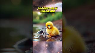 El patito feo 🐥 shortsviral mismascotas babyanimal paramascotas pato patitofeo babypet [upl. by Haroldson]