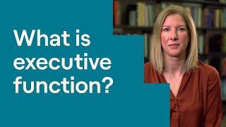 What Is Executive Function [upl. by Spada]