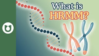 What is HRMM HighRisk Multiple Myeloma myeloma [upl. by Ciapas]