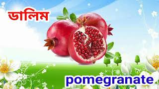 ফলের নাম শিখুন বাংলা ও ইংরেজিতে  20 Fruits Names  Bangla And English Fruits Name Education [upl. by Harmonia523]