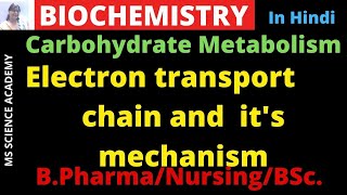 Electron Transport Chain ETC Made Easy [upl. by Jessen]