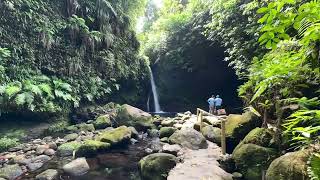 Jacko Falls Dominica [upl. by Lajes309]