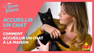 Nos astuces pour bien accueillir un chat à la maison 😺🏠 [upl. by Alaster]