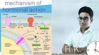 Mechanism of hormonal action  NCERT Based for NEET students [upl. by Gould993]