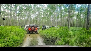 2020 May Off Roading Adventure in Osceola National Forest [upl. by Aynuat]