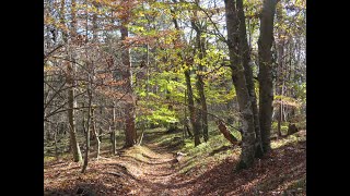 Auf zur Wanderung  los geht´s [upl. by Morrill]