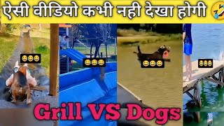 Grill VS Dogs comedy video 😂😂video comedy funny trending [upl. by Maidie]