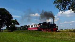 Die erste Museumsbahn und ihre Fahrzeuge  Besuch beim DEV in BruchhausenVilsen [upl. by Wivina]