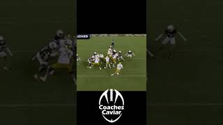 Game Winning Touchdown Run for Notre Dame [upl. by Einnaoj]