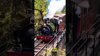 Talyllyn Railway WHISTLES Sir Haydn crossing the Viaduct 🚂💨💨💨 steam train whistle [upl. by Asilem]