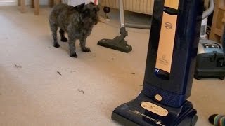 Sebo Automatic X5 Upright Vacuum Cleaner Unboxing Assembly amp First Look [upl. by Akanke]