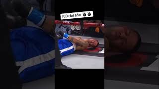 Terrence Williams brutal KO a Jonathan Sosa 🎥 ProBoxTV boxeo boxing ko [upl. by Octavus47]