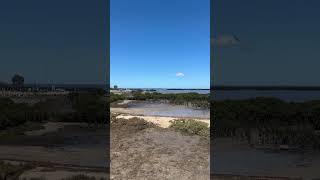 Beautiful view of Tooradin mangroves australiancapital melbourne [upl. by Ayak]