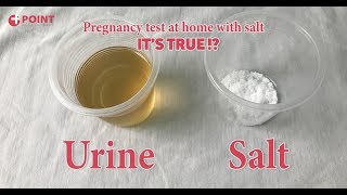 Pregnancy Test At Home  Home Pregnancy Test With Salt  Its True [upl. by Nitniuq]