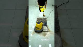 Testing Famous Carpet Cleaning Tips – Do They Really Workquot [upl. by Jewett523]