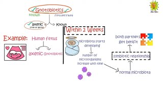 What is Gnotobiotic  immunology Lecture 1 [upl. by Nyliahs]