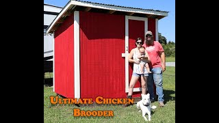 Ultimate Chicken Brooder Finished [upl. by Allveta]