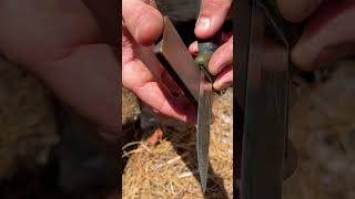 Learn How To Do This To Your Knife edc [upl. by Aurelio622]